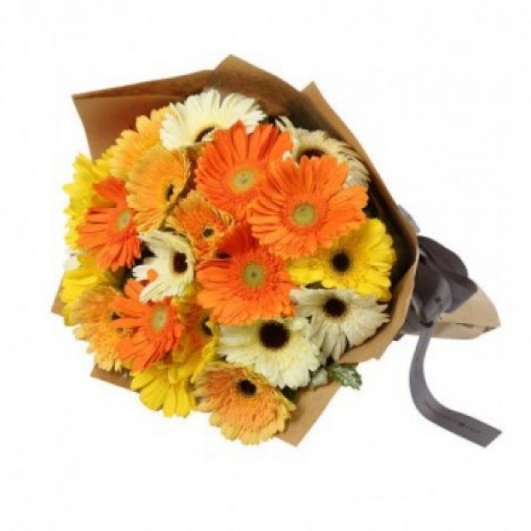 15 Mixed Gerberas wrapped in special Paper